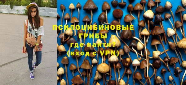 индика Иннополис
