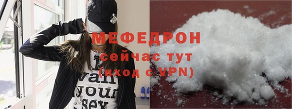 мдпв Инсар