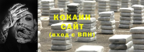мдпв Инсар