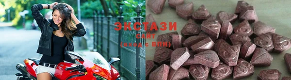 мдпв Инсар
