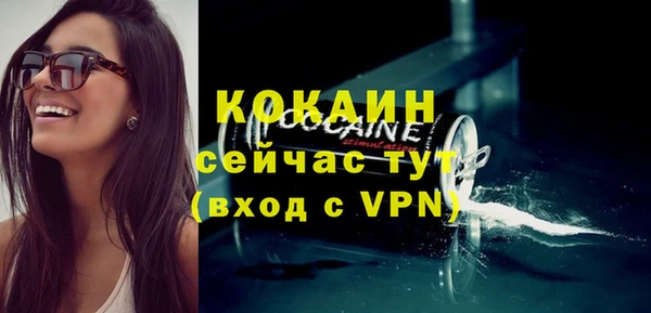 индика Иннополис