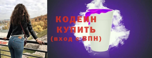 мдпв Инсар