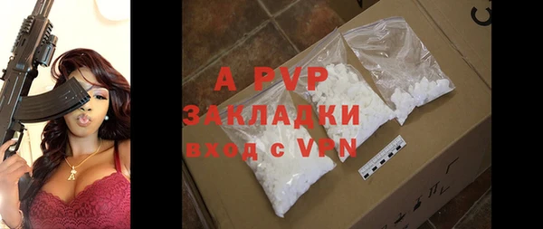 индика Иннополис