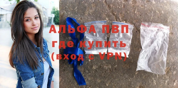 мдпв Инсар