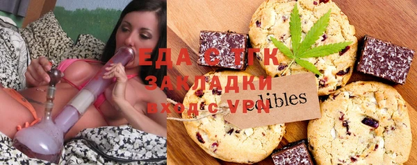 индика Иннополис