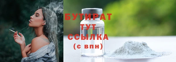 мдпв Инсар