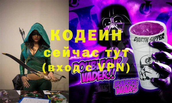 мдпв Инсар