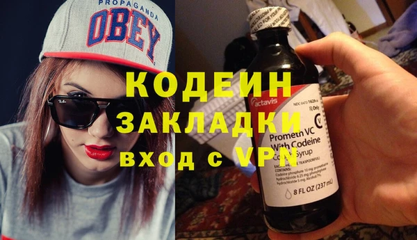 индика Иннополис