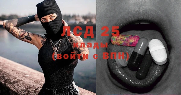 индика Иннополис