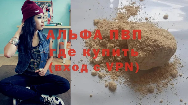 мдпв Инсар