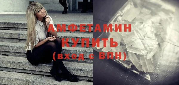 индика Иннополис