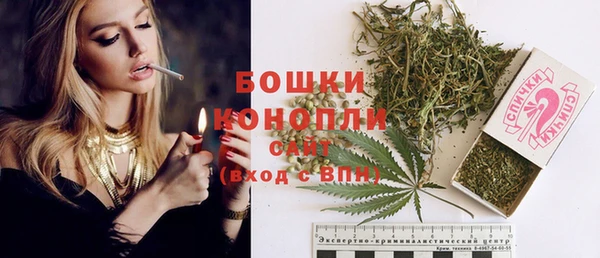 мдпв Инсар