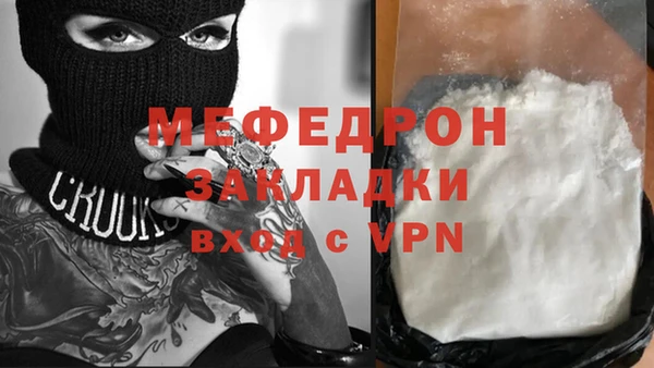 мдпв Инсар