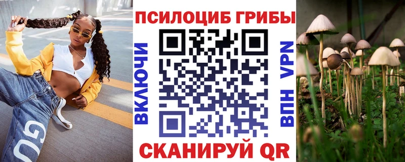 Купить закладки  Севастополь  Псилоцибиновые грибы Psilocybine cubensis 